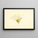 Prunus domestica Burbank - James Marion Shull — ingelijst kunstwerk aan de muur