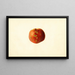 Prunus persica Sutler Cling - James Marion Shull — framed artwork on a wall