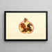 Punica granatum Alternaria - James Marion Shull — ingelijst kunstwerk aan de muur