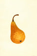 Pyrus communis Bosc - James Marion Shull — weergave van het kunstwerk