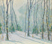 Landschap van de winter in Fort Lee, NJ - James P. Knox — weergave van het kunstwerk