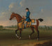Een kastanjebruine renpaard met een jockey in het zadel - James Seymour — weergave van het kunstwerk