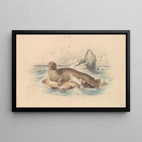 James Stewart - The Bearded Seal.webp