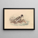 The Seal of the Ocean by Lepechin - James Stewart — framed artwork on a wall