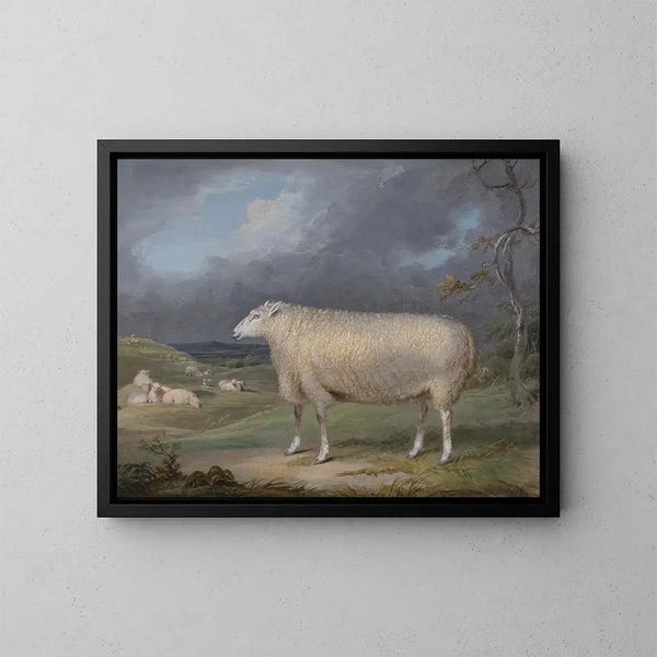 Een Border Leicester schaap - James Ward — ingelijst kunstwerk aan de muur