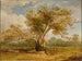 Een eik in Richmond Park met een kudde damherten aan zijn zijde - James Ward — weergave van het kunstwerk