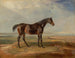 Een bruine racepaard bij de zee met een estuarium op de achtergrond - James Ward — weergave van het kunstwerk
