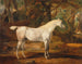 Arabisch grijs paardenschilderij behorend tot Sir Watkin Williams-Wynn - James Ward — weergave van het kunstwerk
