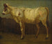 Portret van een koe - James Ward — weergave van het kunstwerk