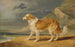 Colley met ruwharige vacht - James Ward — weergave van het kunstwerk