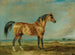 L'arabische springbock van de markies van Londonderry in een landschap - James Ward — weergave van het kunstwerk