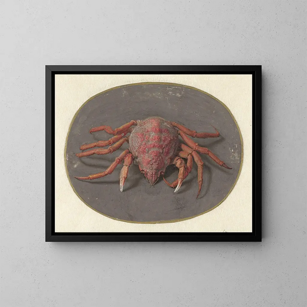 Krab - Jan Augustin van der Goes — ingelijst kunstwerk aan de muur