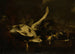 Dead poultry devoured by a cat - Jan Baptist Weenix — artwork view
