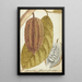 Cacao - Jan Brandes — ingelijst kunstwerk aan de muur