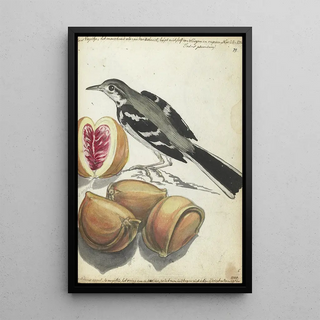 Jan Brandes - Wagtail with Fruit.webp