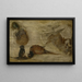 Studie van apen, een hert en andere dieren - Jan Brueghel de Jonge — ingelijst kunstwerk aan de muur
