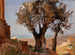 Trees of Girgenti - Jan Cybis — artwork view