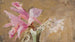 Orchidee - Jan Cybis — weergave van het kunstwerk