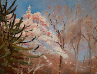 Jan Cigliski - Sudak Spring.webp