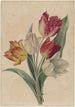 Bouquet de tulipes - Jan Jacob Goteling Vinnis — weergave van het kunstwerk