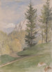 Berglandschap met dennenbomen - Jan Nowopack — weergave van het kunstwerk
