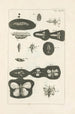 Le livre de la nature ou L'histoire des insectes Pl37 - Jan Swammerdam — weergave van het kunstwerk