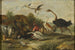 Battle between owls and quadrupeds - Jan van Kessel the Elder — artwork view