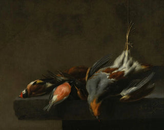 Jan Vonck - Still Life of Dead Birds.webp