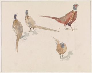 Jan van Essen - Vier fazanten.webp