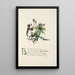 Bardanes and oak thistles - Jane Elizabeth Giraud — framed artwork on a wall