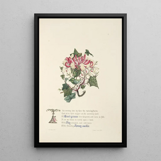 Jane Elizabeth Giraud - Knot grass ivy and honeysuckle.webp