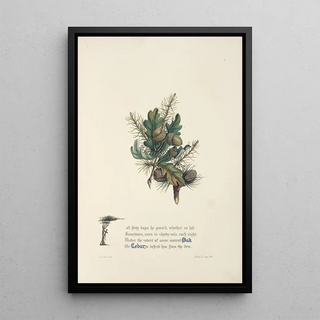 Jane Elizabeth Giraud - Oak and cedar.webp