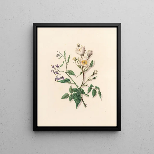 Jane Elizabeth Giraud - The fte of the flowers Pl11.webp