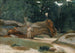 Houthakkers - Jean-Baptiste-Camille Corot — weergave van het kunstwerk