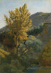 Studie van een boom bij een bergstroom in Italië - Jean-Baptiste-Camille Corot — weergave van het kunstwerk