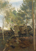Fontainebleau Pins et bouleaux dans les rochers - Jean-Baptiste-Camille Corot — weergave van het kunstwerk