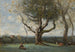van het grote boom, omgeving van Gournay - Jean-Baptiste-Camille Corot — weergave van het kunstwerk