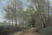Stad van Avray, de ruiter bij de ingang van het bos - Jean-Baptiste-Camille Corot — weergave van het kunstwerk