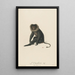 L'Ouanderou - Jean-Baptiste Audebert — framed artwork on a wall