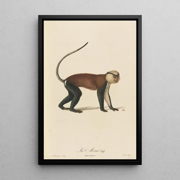 JeanBaptiste Audebert - La Mone.webp