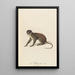Le Blanc-Nez - Jean-Baptiste Audebert — framed artwork on a wall
