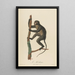 The Hocheur - Jean-Baptiste Audebert — framed artwork on a wall