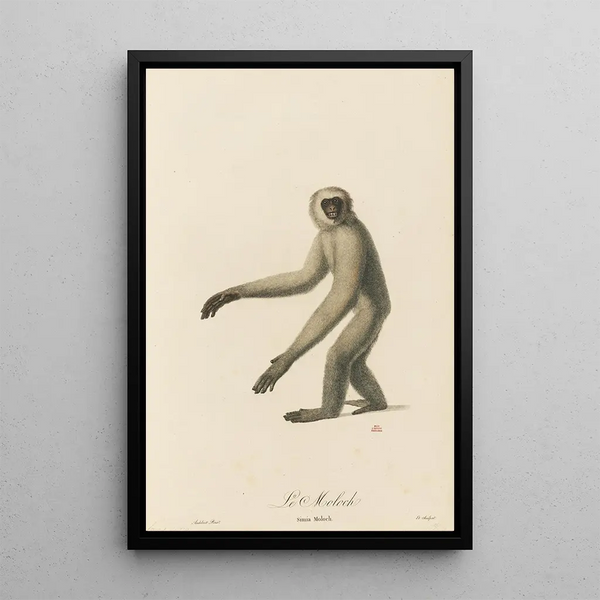 JeanBaptiste Audebert - Le Moloch.webp