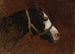 Profil van een paard - Jean-Léon Gérôme — weergave van het kunstwerk