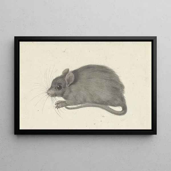Jean Bernard - Muis naar links.webp