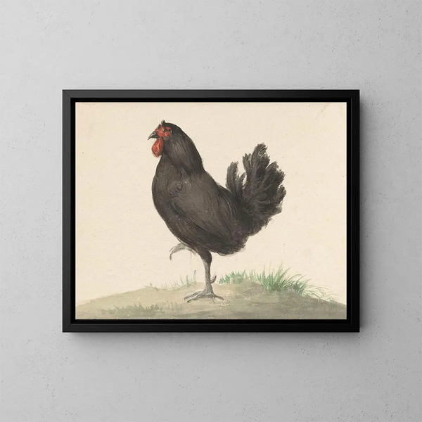 Zwarte kip staand - Jean Bernard — ingelijst kunstwerk aan de muur