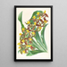Catasetum rodigasianum - Jean Jules Linden — ingelijst kunstwerk aan de muur