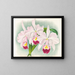 Koe Cattleya trianae var. Martin Cahuzac - Jean Jules Linden — ingelijst kunstwerk aan de muur