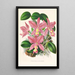 Cattleya nobilior - Jean Jules Linden — ingelijst kunstwerk aan de muur