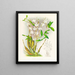 Dendrobium bursae - Jean Jules Linden — ingelijst kunstwerk aan de muur